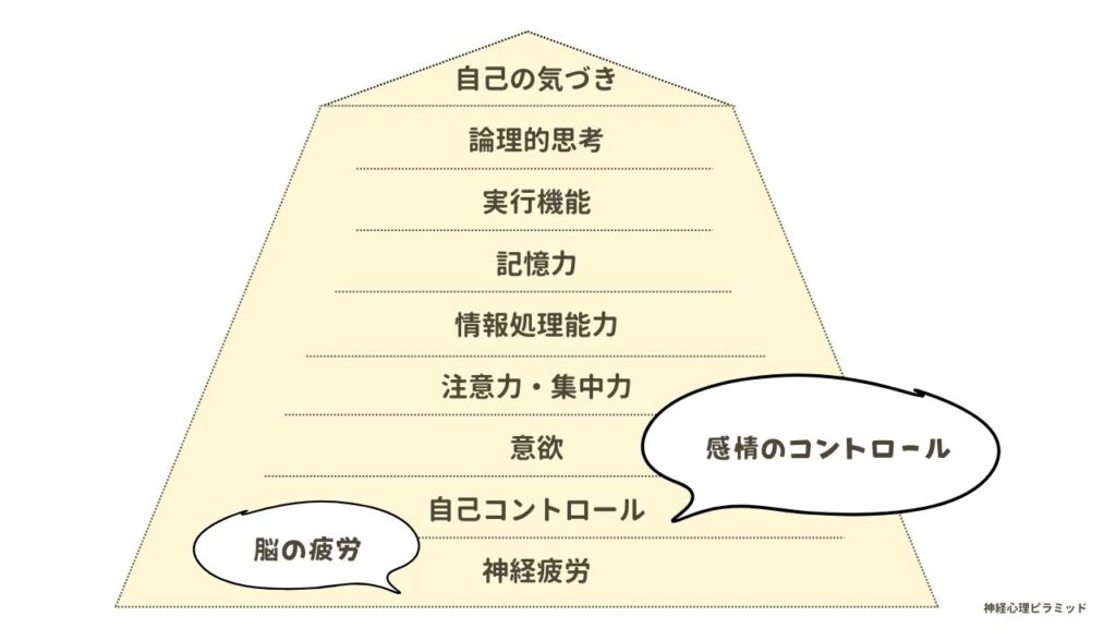 神経心理ピラミッド　癇癪